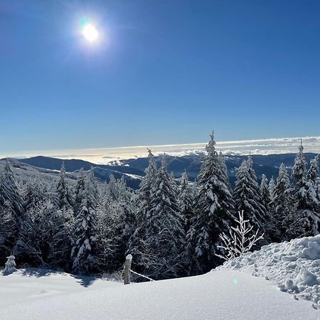 Albergo Rifugio La Grande Baita กูติญาโน ภายนอก รูปภาพ