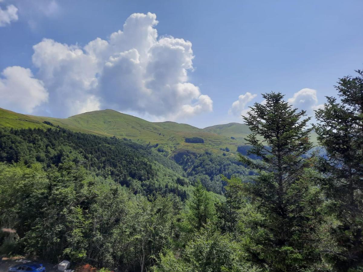 Albergo Rifugio La Grande Baita กูติญาโน ภายนอก รูปภาพ
